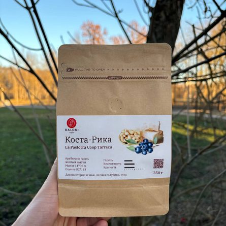 5xnttkuq3393j3t8a15jhyvtv4tqgdxc